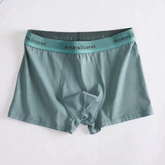 O1CN01K6Vcmi2MmyW5YQ8JQ_!!2181779871
